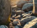 rocks and密码，文明的永恒密码